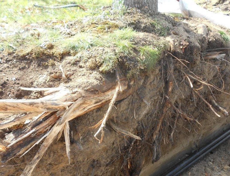 Ökologische Baubegleitung Bild vor der Baubegleitung