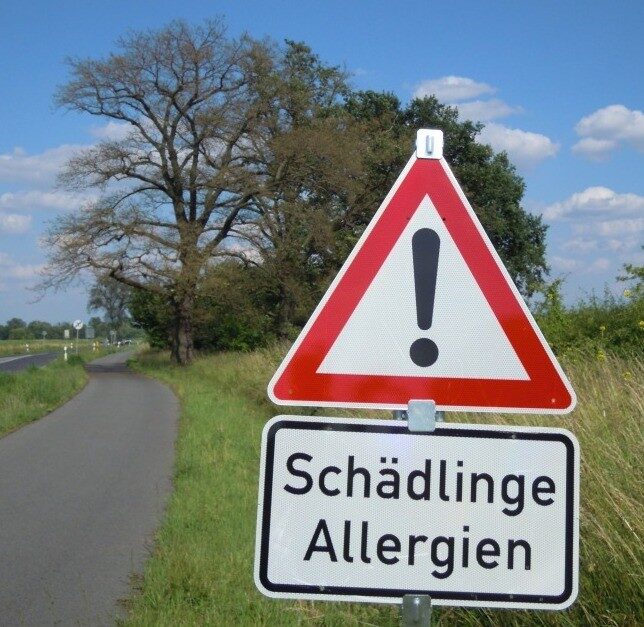 Schädlinge Allergien